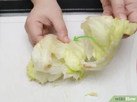 Image titled Shred Lettuce Step 20