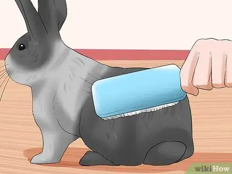 Image titled Care for Dutch Rabbits Step 18