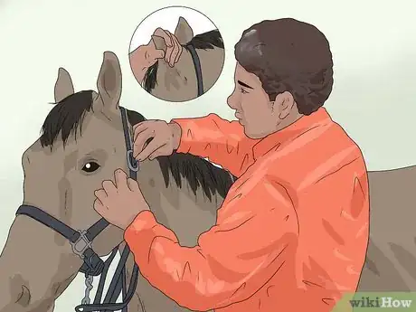 Image titled Approach Your Horse Step 10