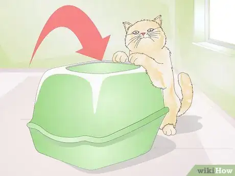 Image titled Keep Cat Litter from Tracking Step 5