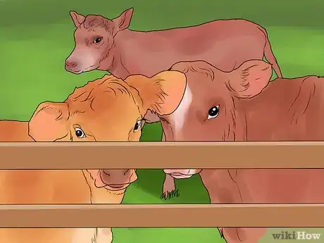 Image titled Start a Cattle Farm Step 3