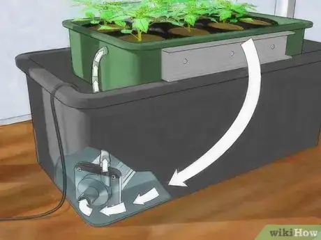 Image titled Grow Hydroponic Tomatoes Step 1