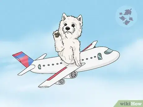 Image titled Send a Dog to Another Country Step 2