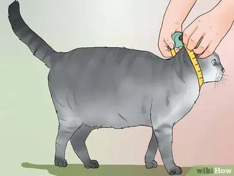 Image titled Make a Harness for Your Fat Cat Step 11