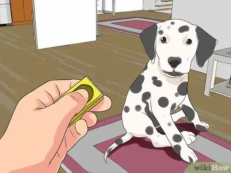 Image titled Train Dalmatians Step 12