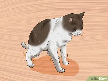 Image titled Tell if a Cat Is in Pain Step 3