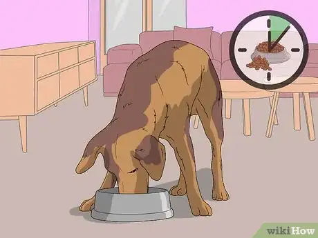 Image titled Dog Sit Step 10