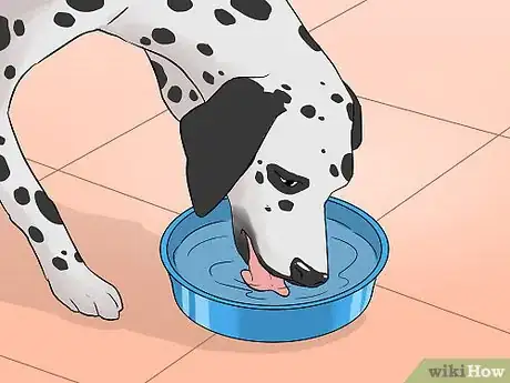 Image titled Make a Routine for Your Dog Step 5