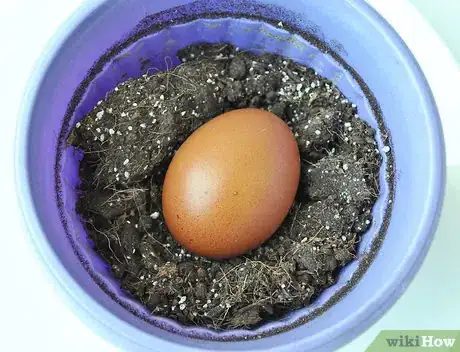 Image titled Tell if Your Eggs Are Fresh Step 4