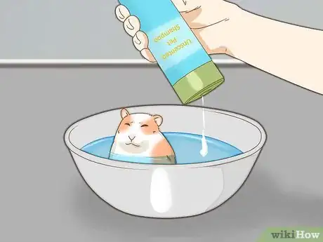 Image titled Give Your Hamster a Bath Step 13