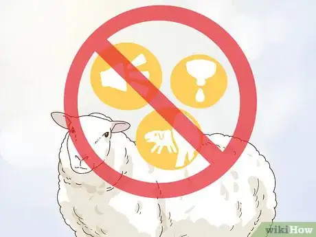 Image titled Care for a Sheep With Pneumonia Step 13