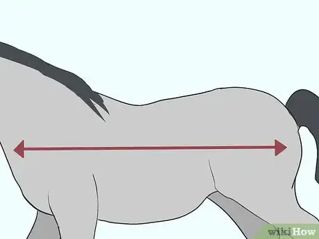 Image titled Make a Horse Blanket Step 1