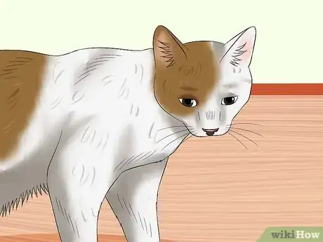 Image titled Tell if a Cat Is in Pain Step 7