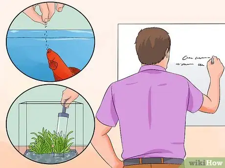 Image titled Help a Betta Fish Live Longer Step 12