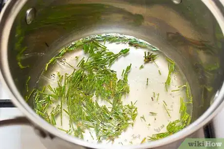 Image titled Make Pine Needle Tea Step 6Bullet1