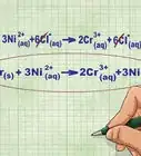 Write a Net Ionic Equation