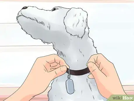 Image titled Train Poodles Step 11