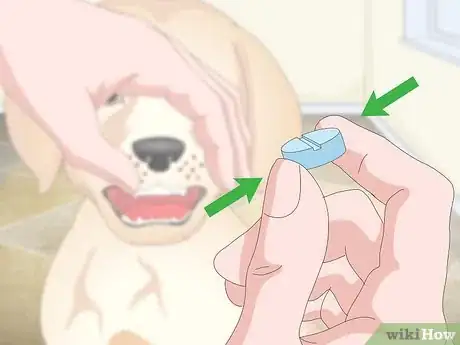 Image titled Get Your Dog to Take Its Medicine Step 13