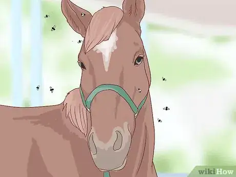 Image titled Get Rid of Ear Plaque in Horses Step 12