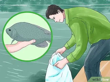 Image titled Farm Tilapia Step 15