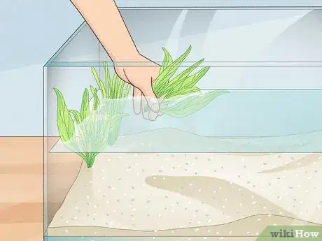 Image titled Make an Aquarium Step 15