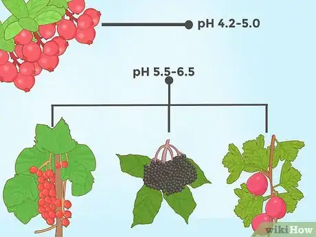 Image titled Lower Soil pH Step 15