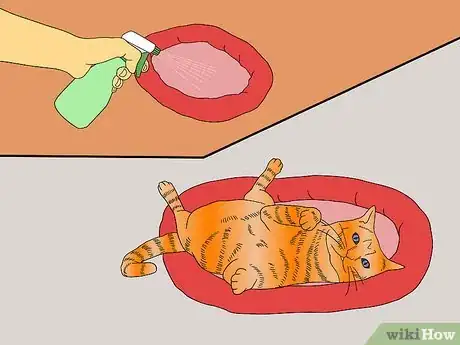 Image titled Make Catnip Spray Step 8