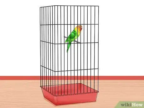 Image titled Stop Cats from Getting Birds Step 11