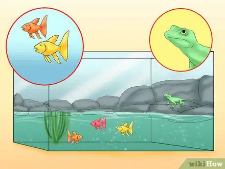 Image titled Create Aquariums So Lizards and Fish Can Coexist Step 8