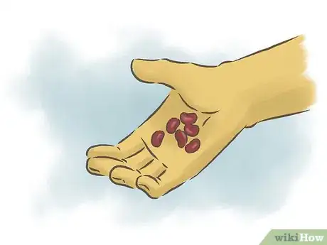 Image titled Grow Kidney Beans Step 1