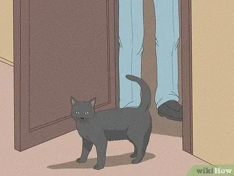 Image titled Keep a Cat from Running Away when It Is Moved Step 8