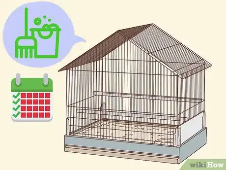 Image titled Treat Mites and Lice in Guinea Pigs Step 12