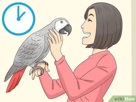 Image titled Choose an African Grey Parrot Step 3