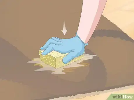 Image titled Get Dog Urine Smell out of Carpets Step 3