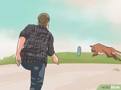 Image titled Train Your Dog from Running out of Your House Step 14