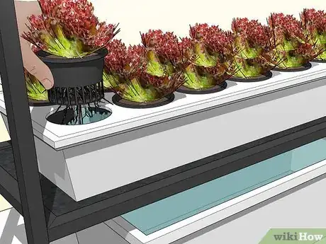 Image titled Design a Successful Indoor Garden Step 12