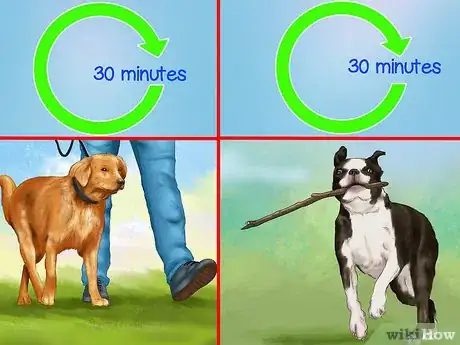 Image titled Live with a High Energy Dog Step 4