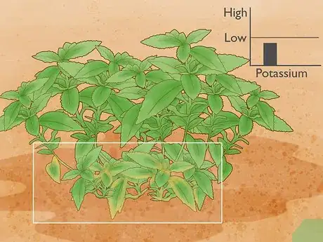 Image titled Use Potash Step 1