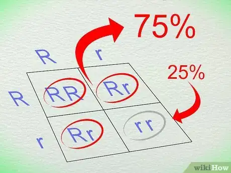 Image titled Work With Punnett Squares Step 10