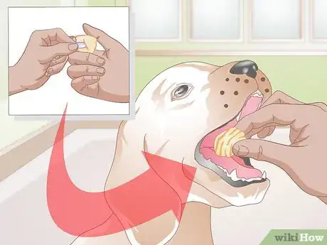 Image titled Get Fatty Tumors Removed in Dogs Step 8