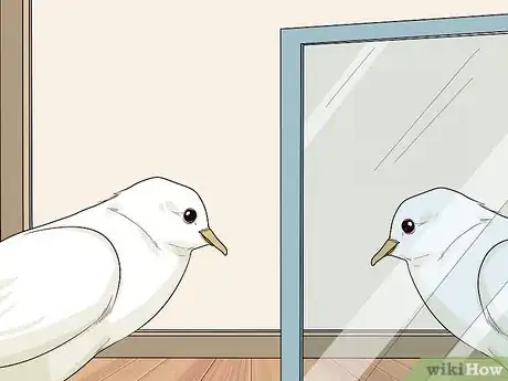 Image titled Keep Doves Entertained Step 6