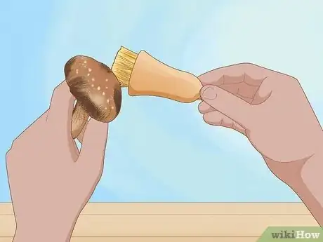 Image titled Grow Edible Mushrooms Step 17