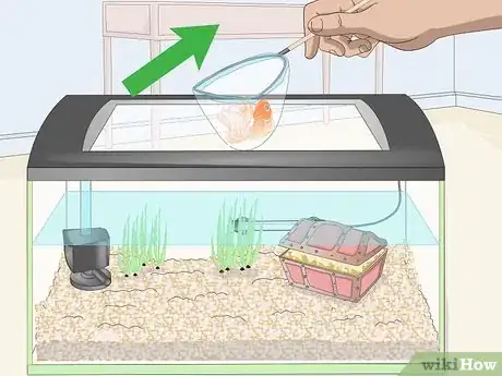 Image titled Clean Fish Tank Rocks Step 1