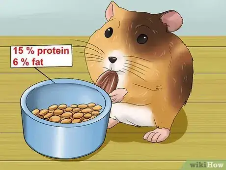 Image titled Tell if a Dwarf Hamster Is Obese Step 8