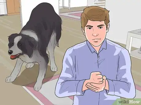 Image titled Teach Your Dog to Herd Step 3