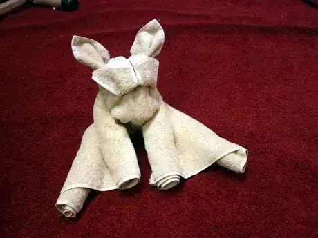 Image titled Completed Towel Dog