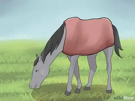 Image titled Make a Horse Blanket Step 11