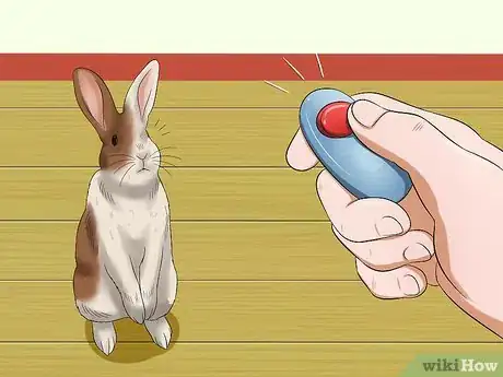 Image titled Teach Your Rabbit to Go Back to His Hutch Step 5