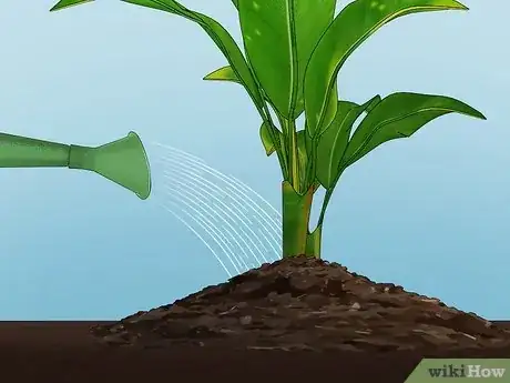 Image titled Add Compost to Plants Step 11