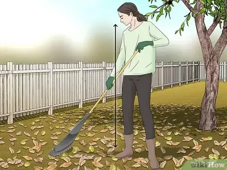 Image titled Rake Leaves Step 1